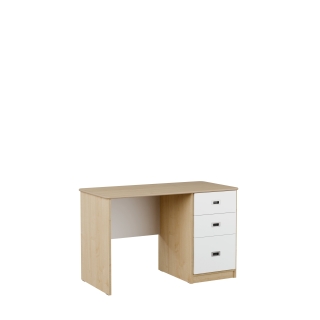 Biurko Kubuś 120x60 | Darmowa dostawa dla szkół i placówek publicznych