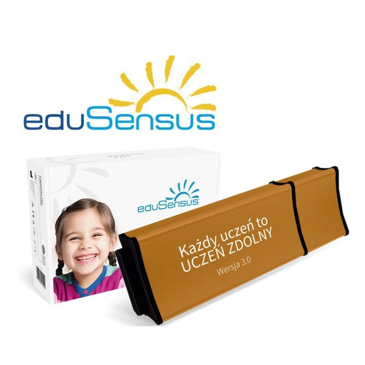 Program multimedialny Każdy uczeń to zdolny uczeń