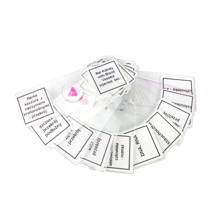 Zestaw preparatów tkanki roślinne i zwierzęce 100 szt.