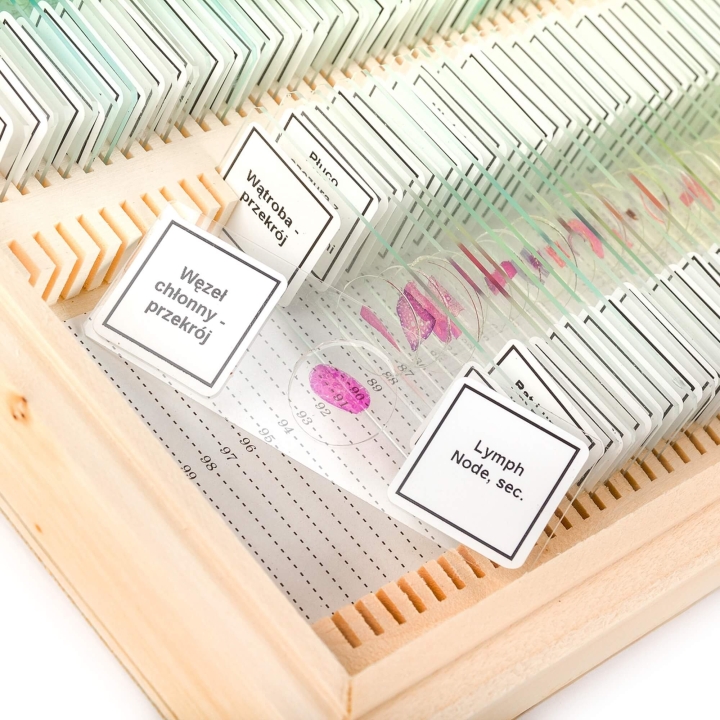 Zestaw preparatów tkanki roślinne i zwierzęce 100 szt.