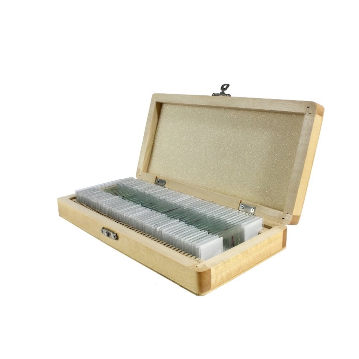 Zestaw preparatów tkanki roślinne i zwierzęce 50 szt.