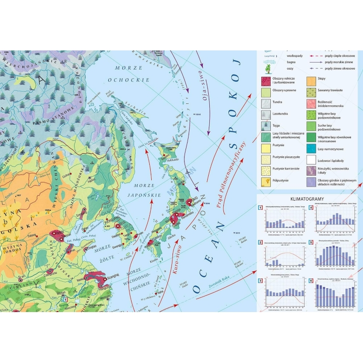 Mapa krajobrazowa Azji - mapa ścienna