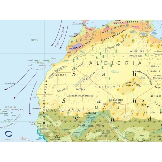 Ameryka Południowa - ścienna mapa polityczna