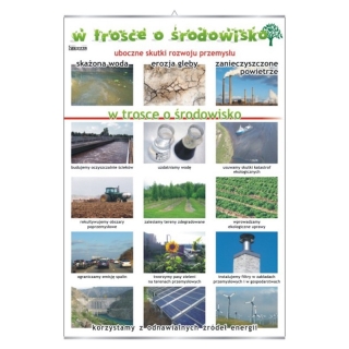 Plansza - W trosce o środowisko | Darmowa dostawa dla szkół i placówek publicznych