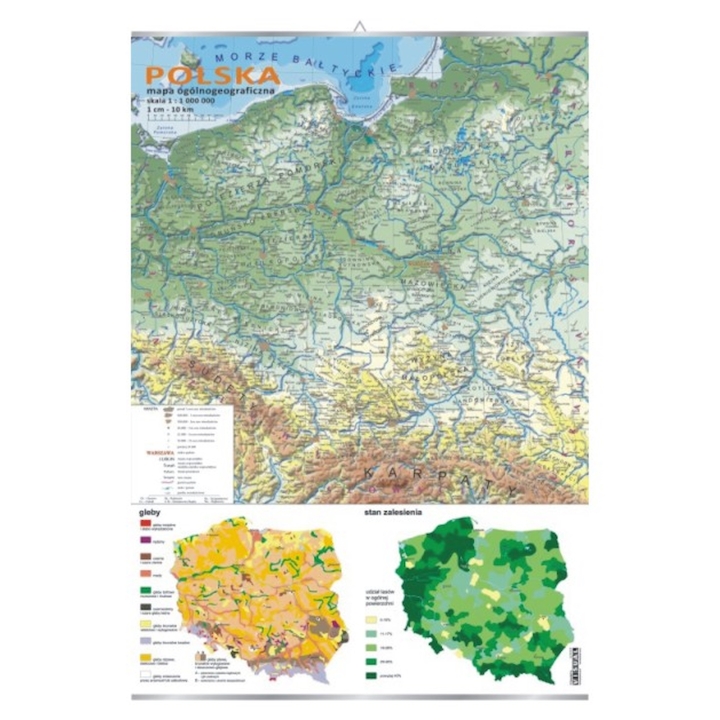 Plansza - Polska mapa ogólnogeograficzna mapki zalesienia i gleb