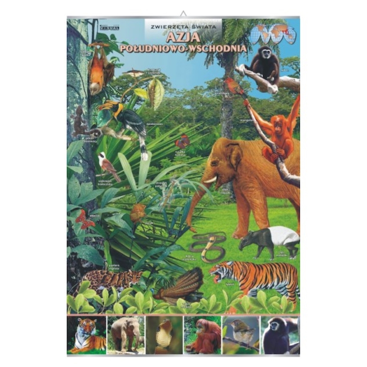 Plansza - Azja południowo-wschodnia zwierzęta w środowisku