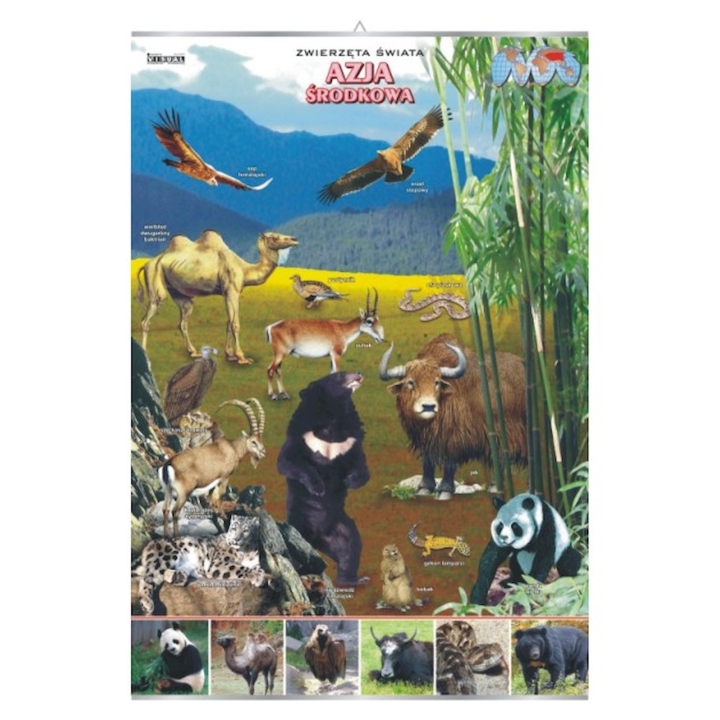 Plansza - Azja środkowa zwierzęta w środowisku