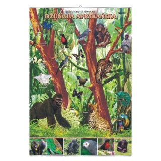 Plansza - Dżungla afrykańska - zwierzęta w środowisku