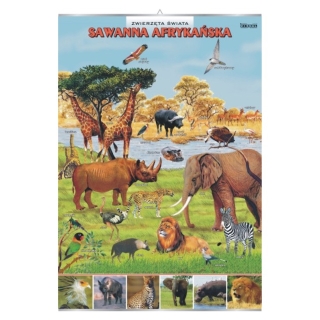 Plansza - Sawanna afrykańska - zwierzęta w środowisku